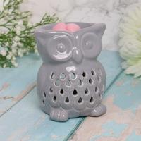 Desire Grey Owl Wax Melt Warmer Extra Image 1 Preview